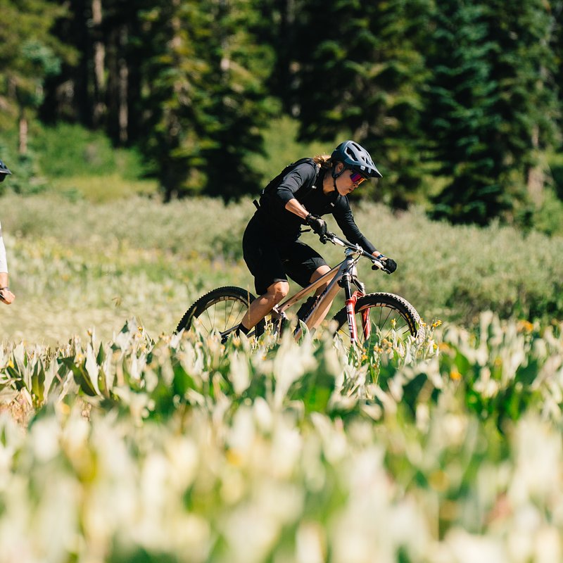 Copy of LIT07936.jpg