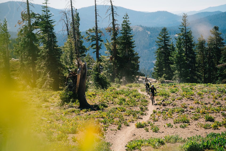 Copy of LIT07836.jpg