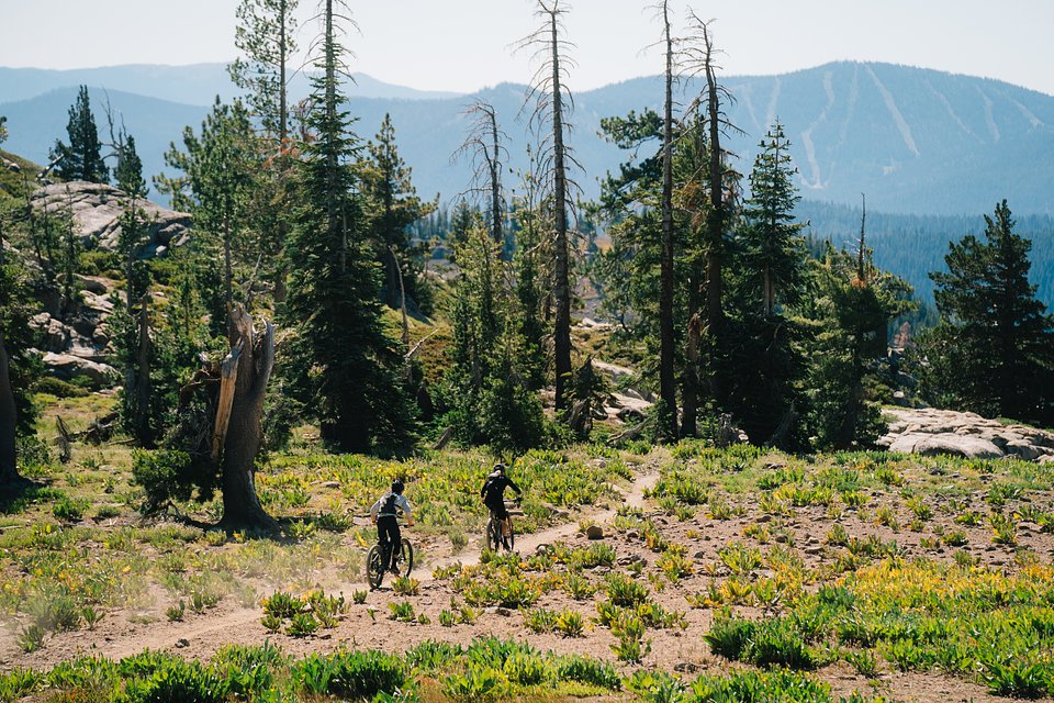 Copy of LIT07874.jpg