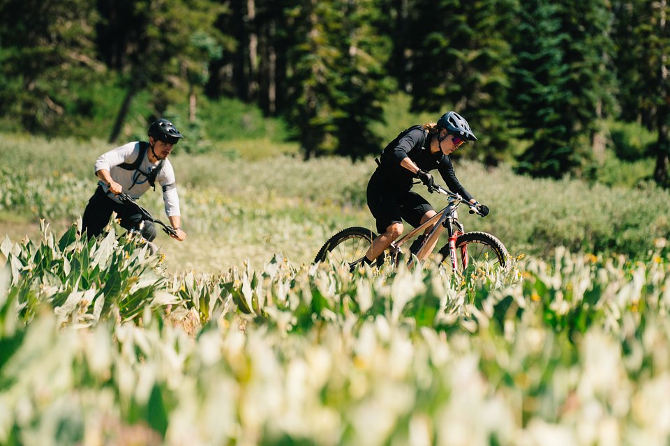 Copy of LIT07936.jpg