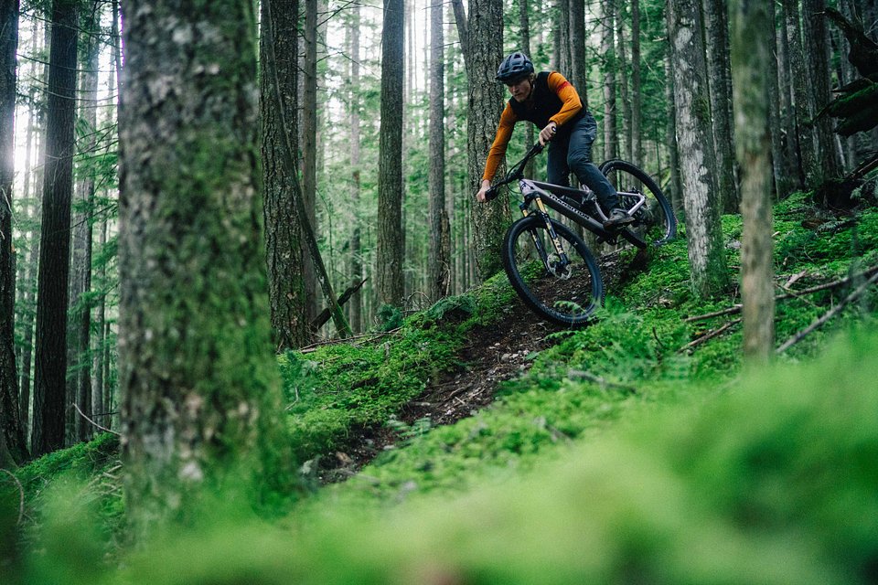 Copy of LIT07941.jpg