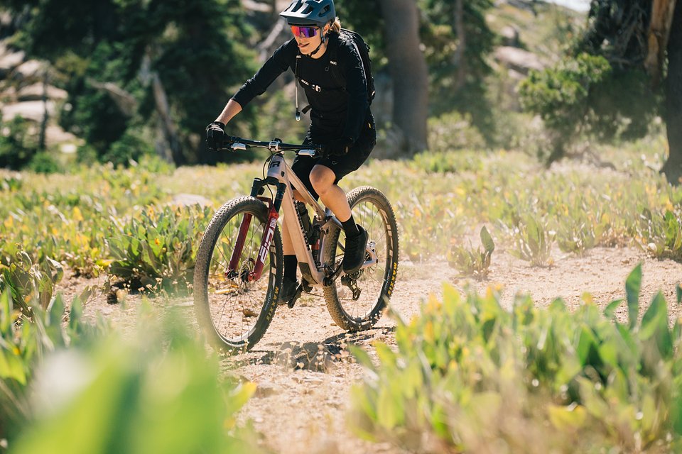 Copy of LIT07974.jpg