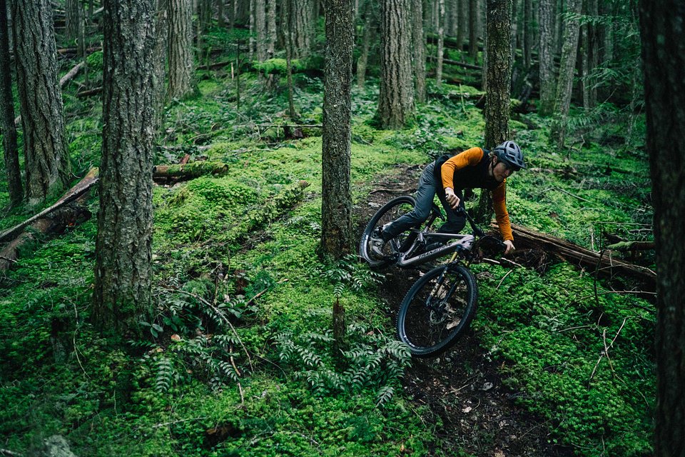 Copy of LIT07995.jpg