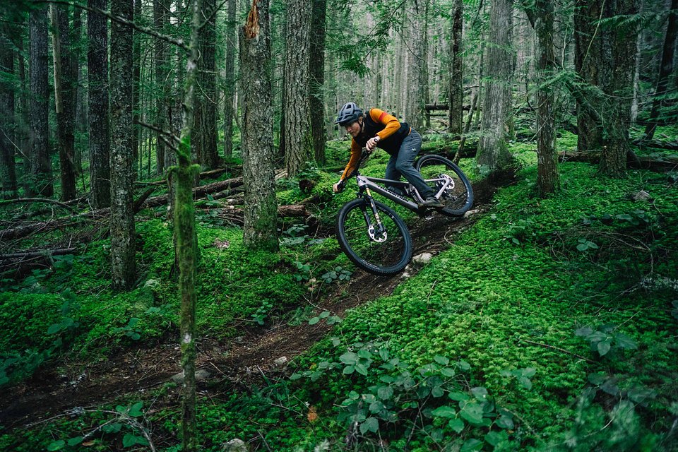 Copy of LIT08119.jpg