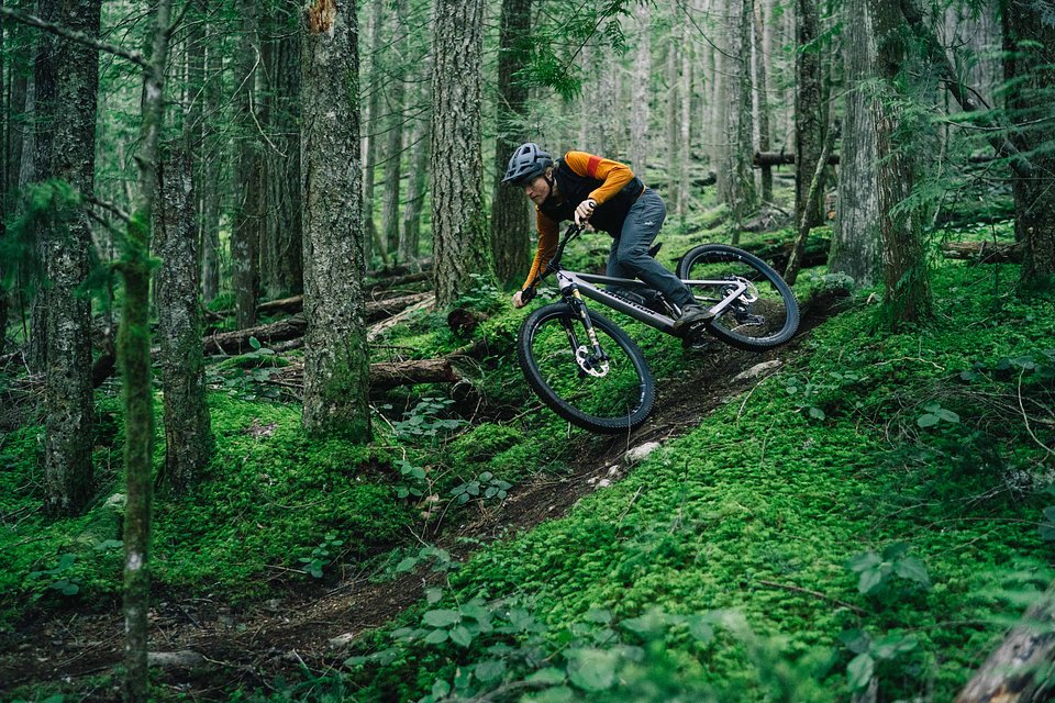 Copy of LIT08130.jpg