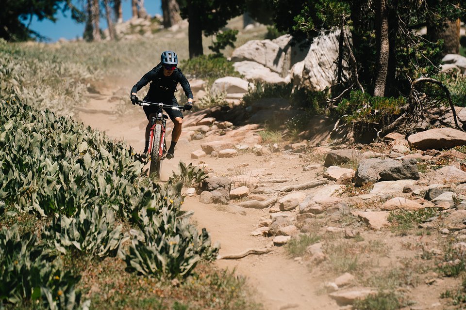 Copy of LIT08277.jpg