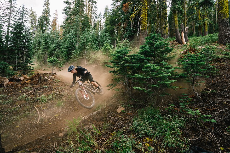 Copy of LIT08435.jpg