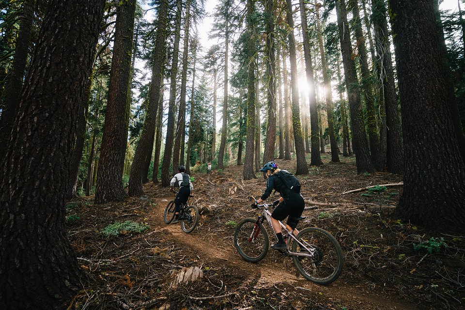 Copy of LIT08497.jpg