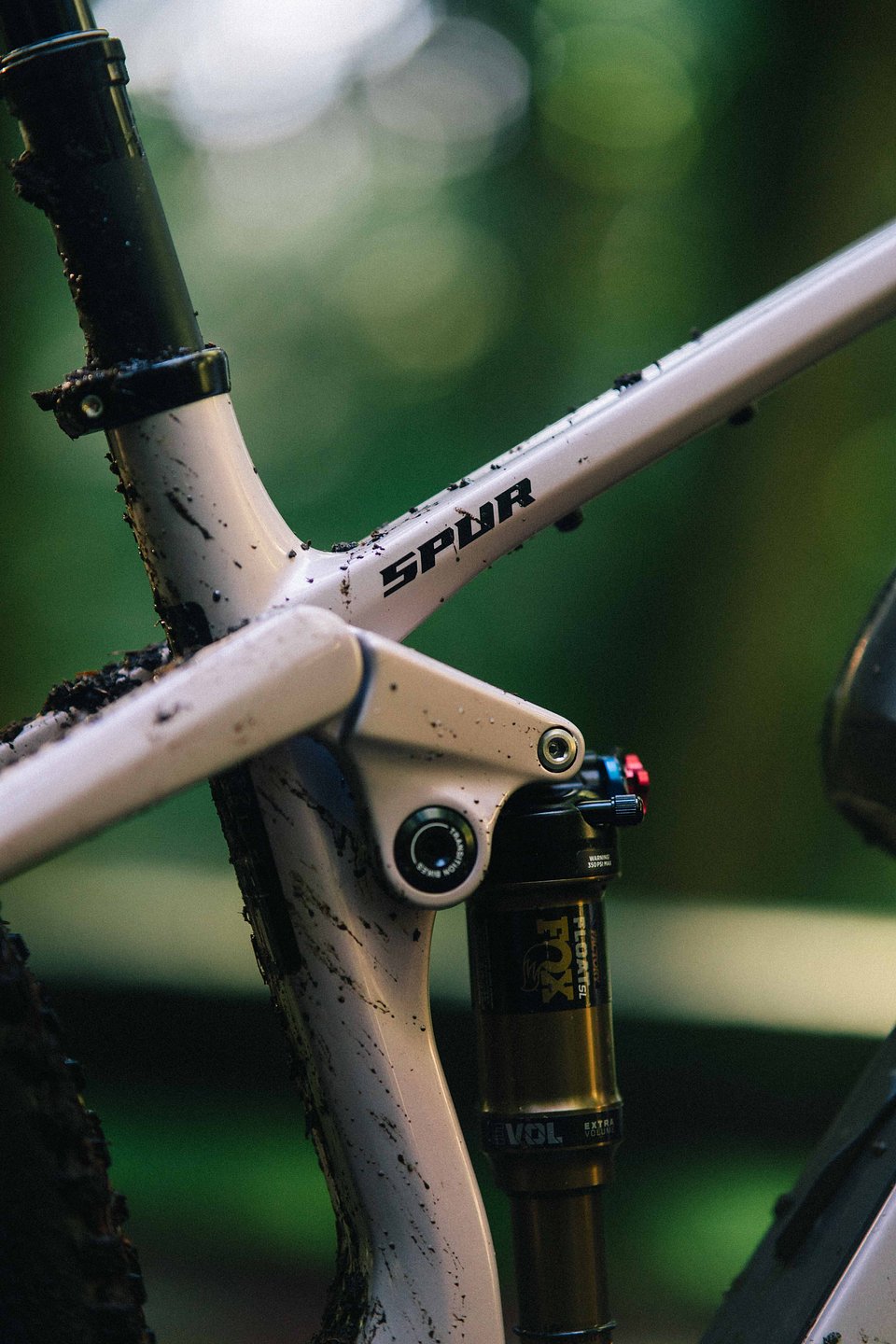 Copy of LIT08529.jpg