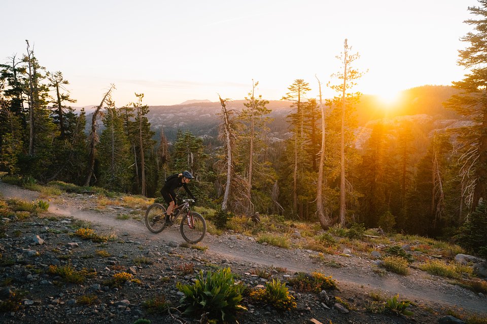 Copy of LIT08973.jpg