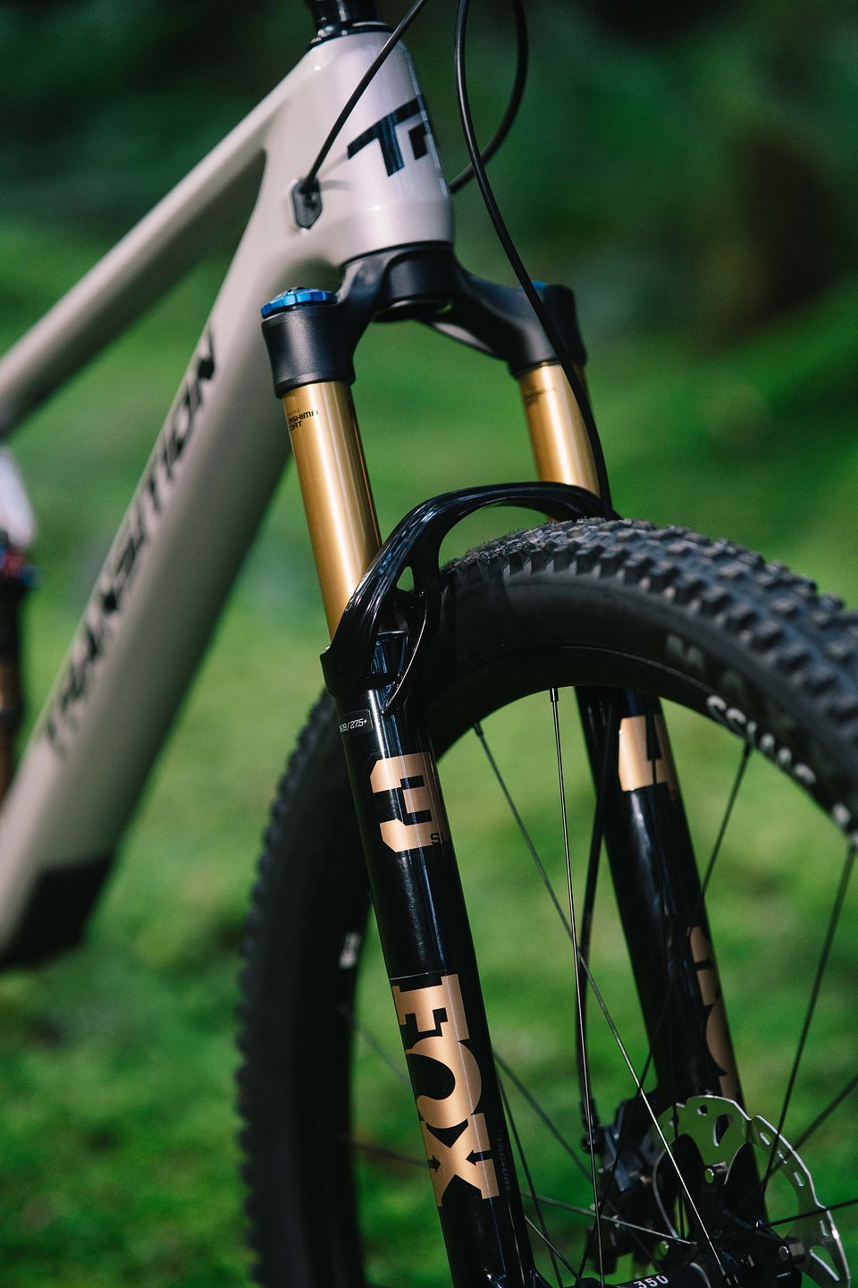 Copy of LIT05831.jpg