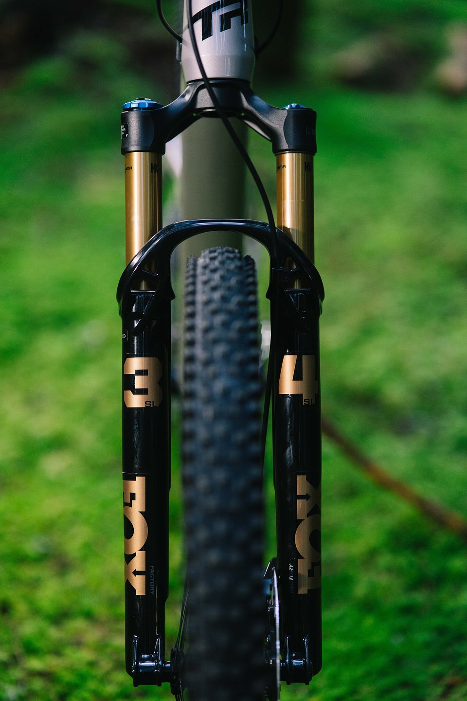 Copy of LIT05844.jpg