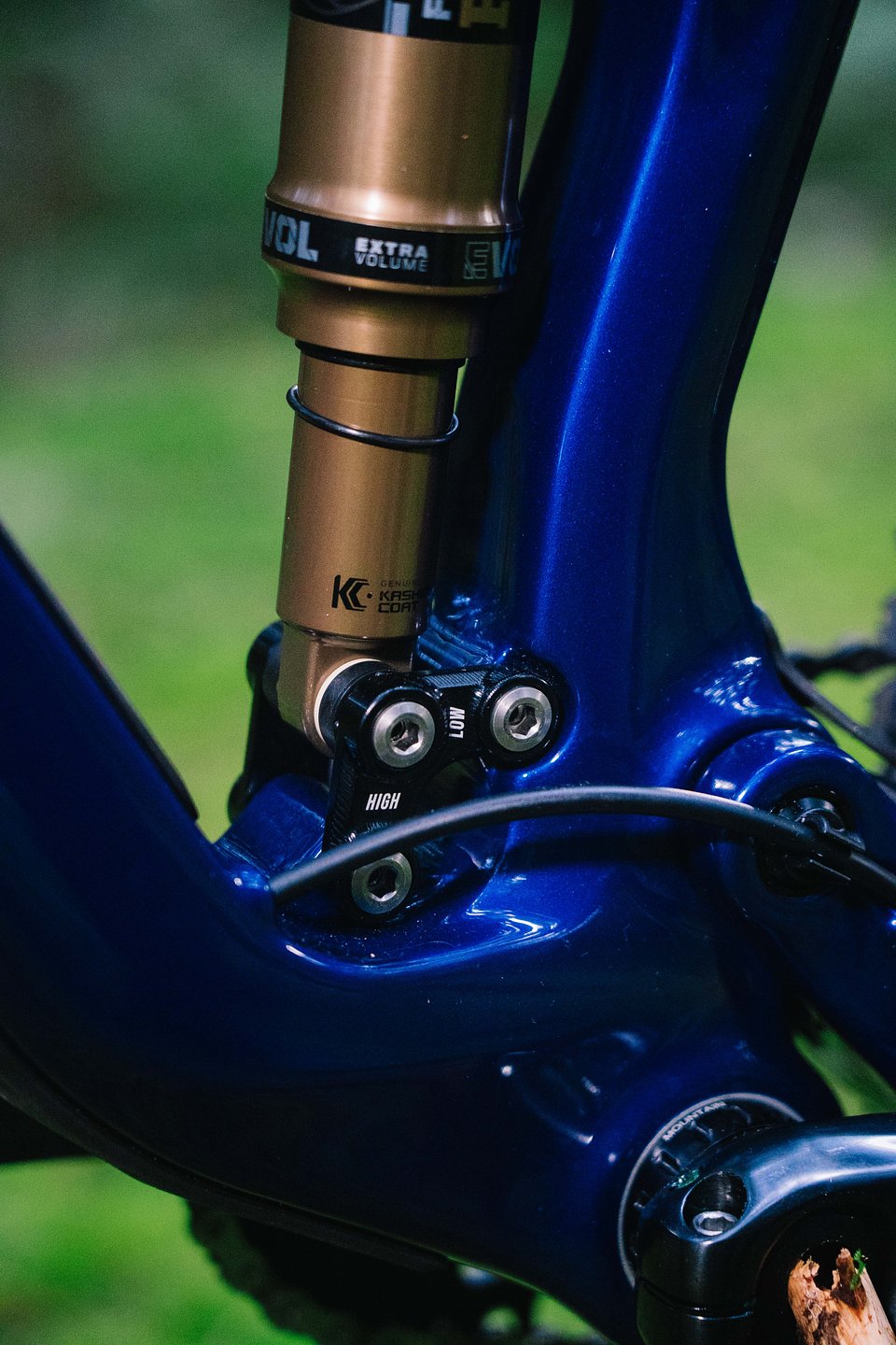 Copy of LIT05990.jpg