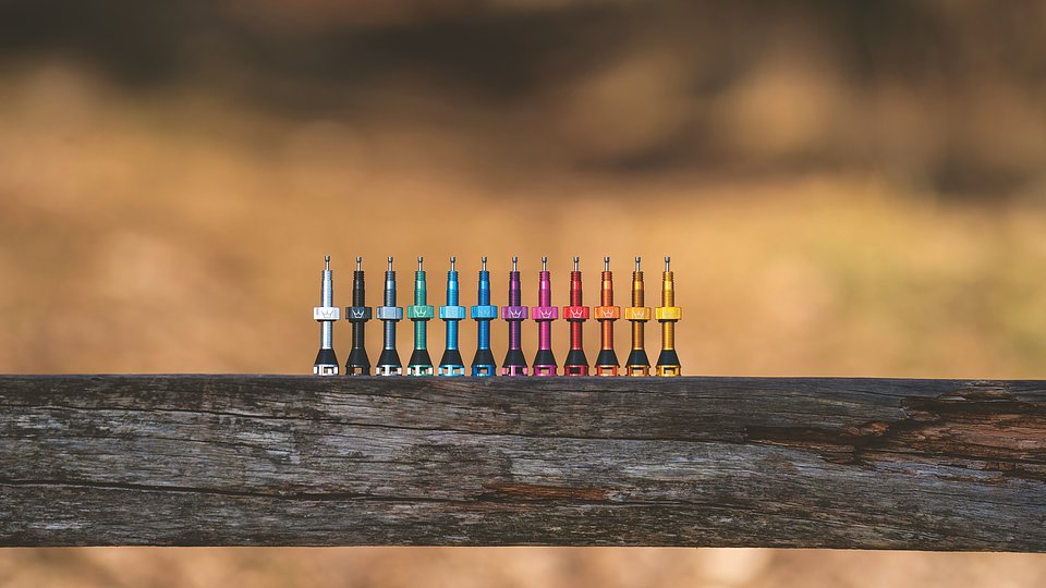 FFV Lineup without caps.jpg