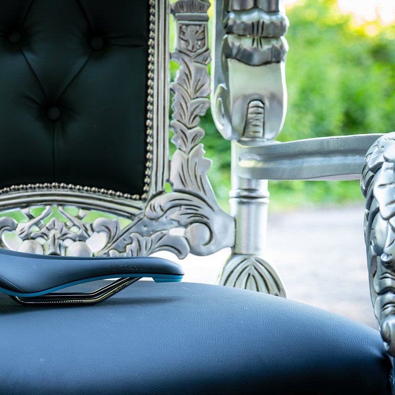 Monarch Saddle - Throne.jpg
