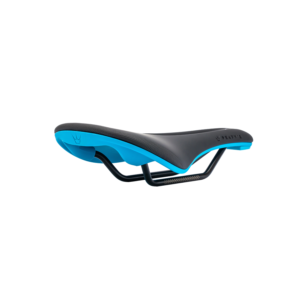 Peatys_Monarch_Saddle_CrMo_Blue_Rear.png