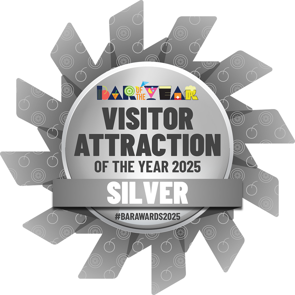 BOTYA 2025 - Silver MPU (6).png