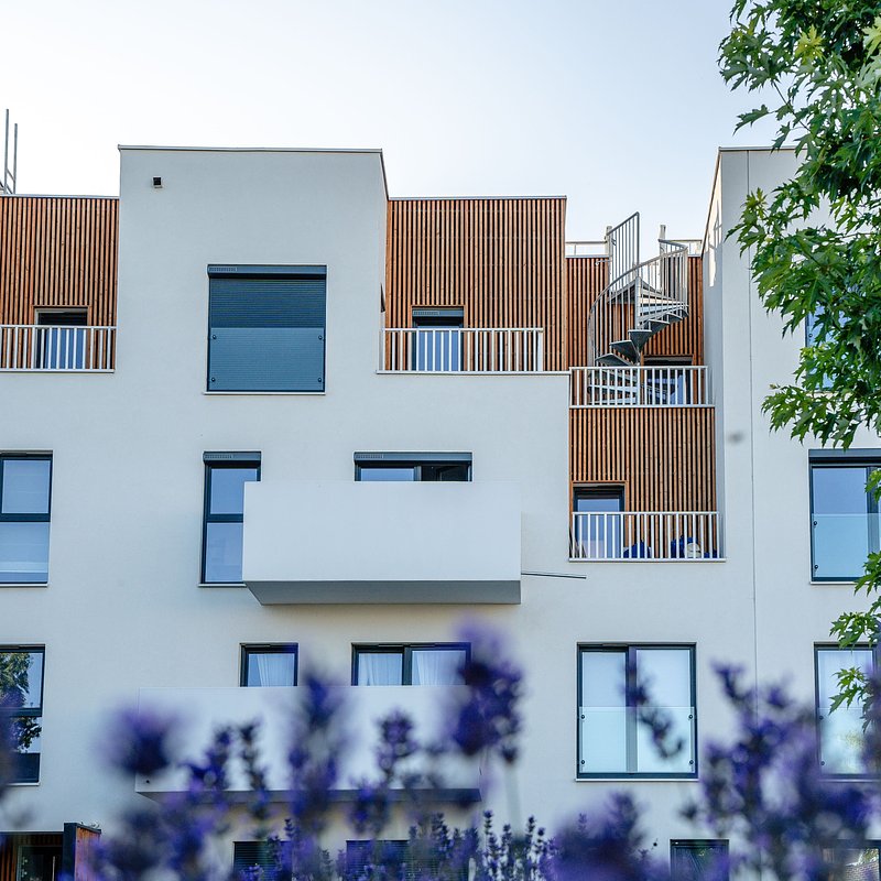 Bacciarellego 54_fot. materiały prasowe (2).jpg