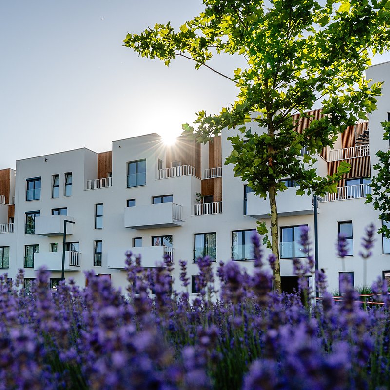 Bacciarellego 54_fot. materiały prasowe (1).jpg