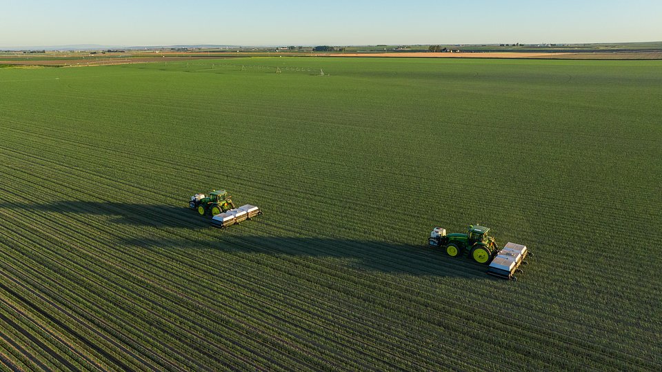DJI_0375.jpg
