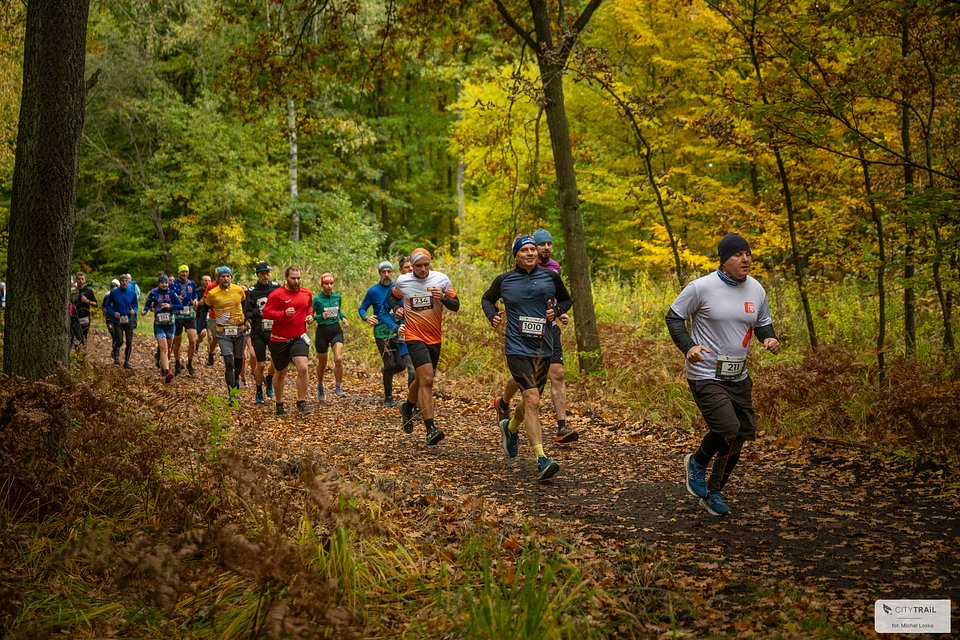 Na trasie październikowego CITY TRAIL w Katowicach (fot. Michał Loska)