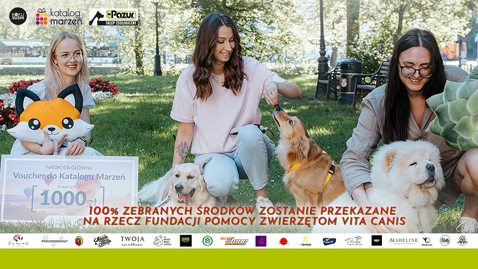 koku_akcja_pieski-980x552 (1).jpg