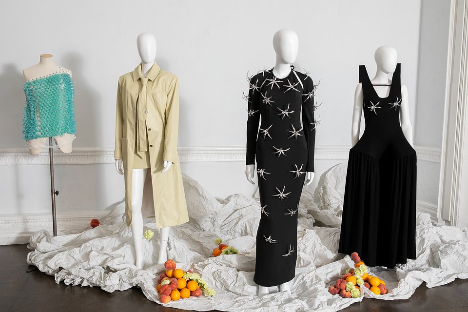 RAY CHU AND HIS NATURE INSPIRED SET UP