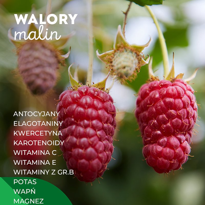 SUPEROWOCE_malina_1080x1350_10.jpg