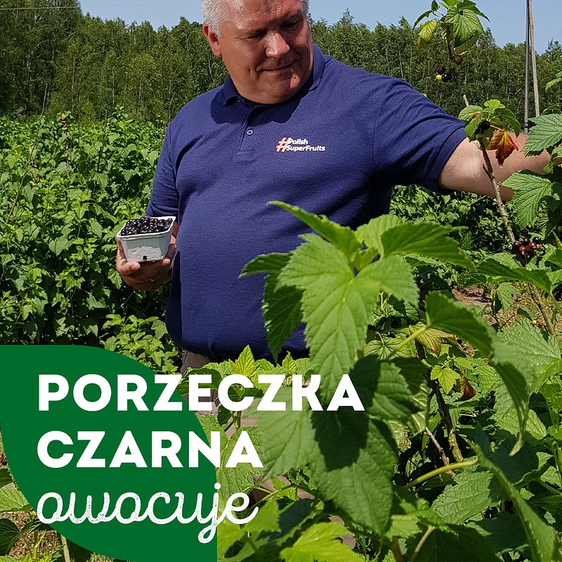 SUPEROWOCE-czarna porzeczka-1080x1350_7.jpg