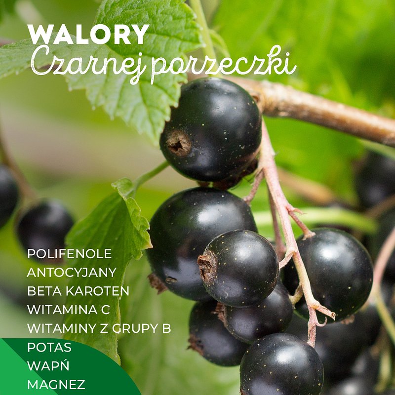 SUPEROWOCE-czarna porzeczka-1080x1350_9.jpg