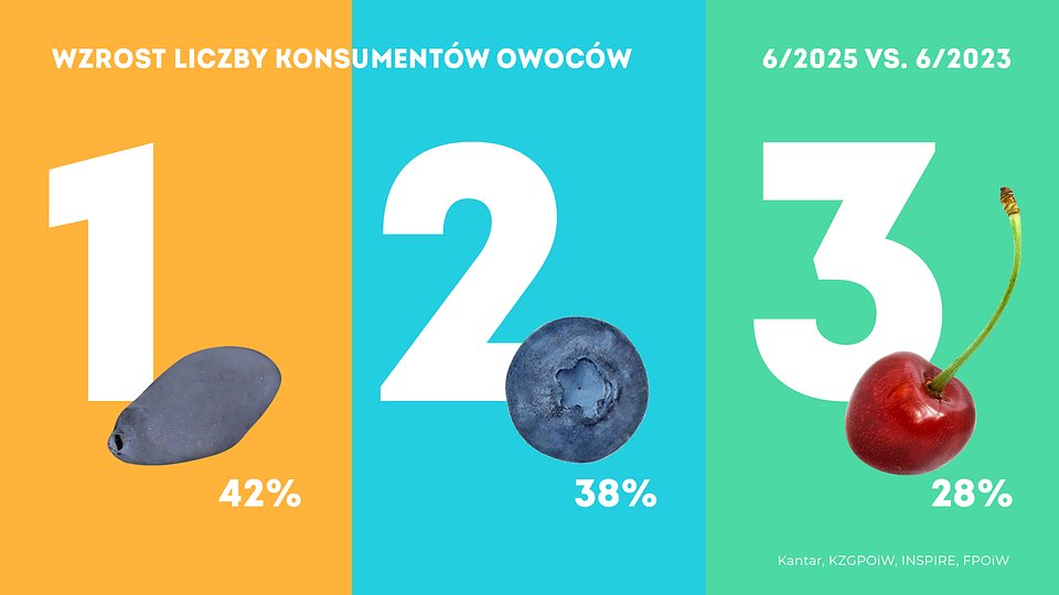 kantar-2025_06-1920x1080-dodatkowe-07.jpg