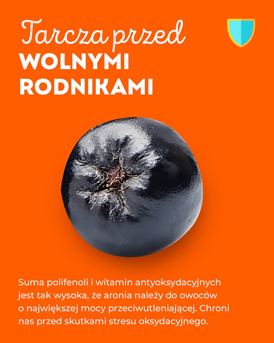 Superowoce_ARONIA_1080x1350_28.jpg