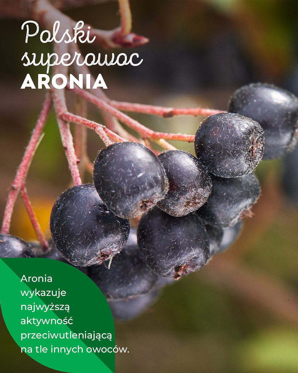 Superowoce_ARONIA_1080x1350_22.jpg