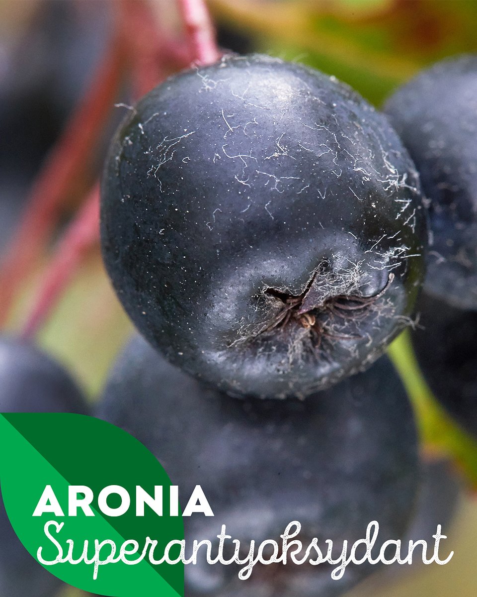 Superowoce_ARONIA_1080x1350_11.jpg