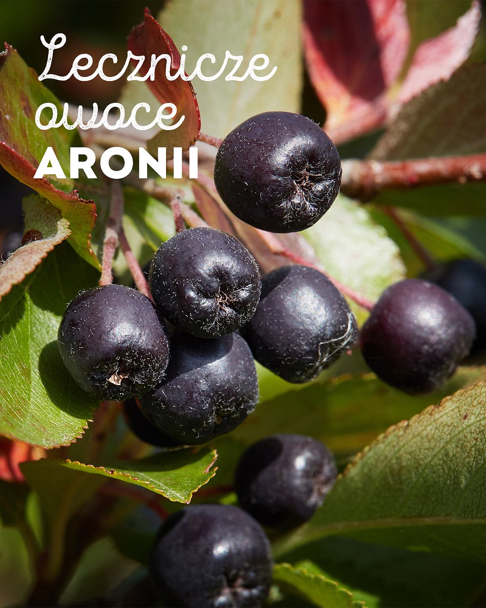 Superowoce_ARONIA_1080x1350_10.jpg