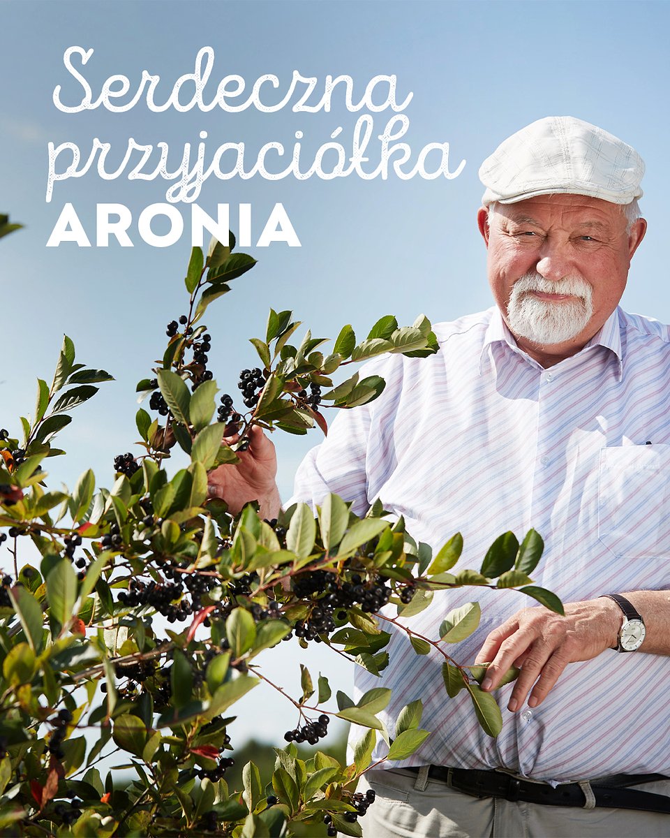 Superowoce_ARONIA_1080x1350_09.jpg