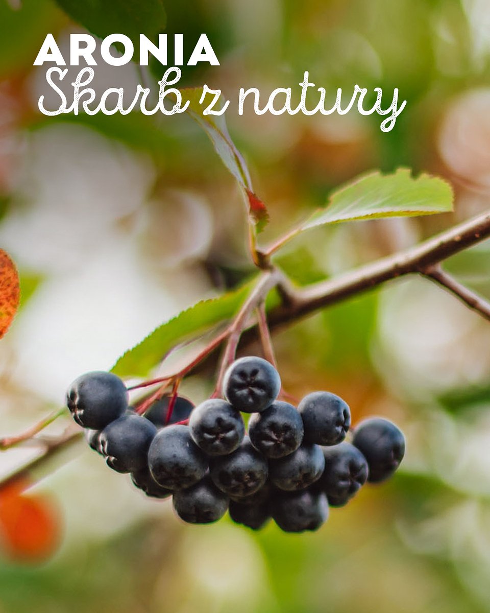 Superowoce_ARONIA_1080x1350_07.jpg