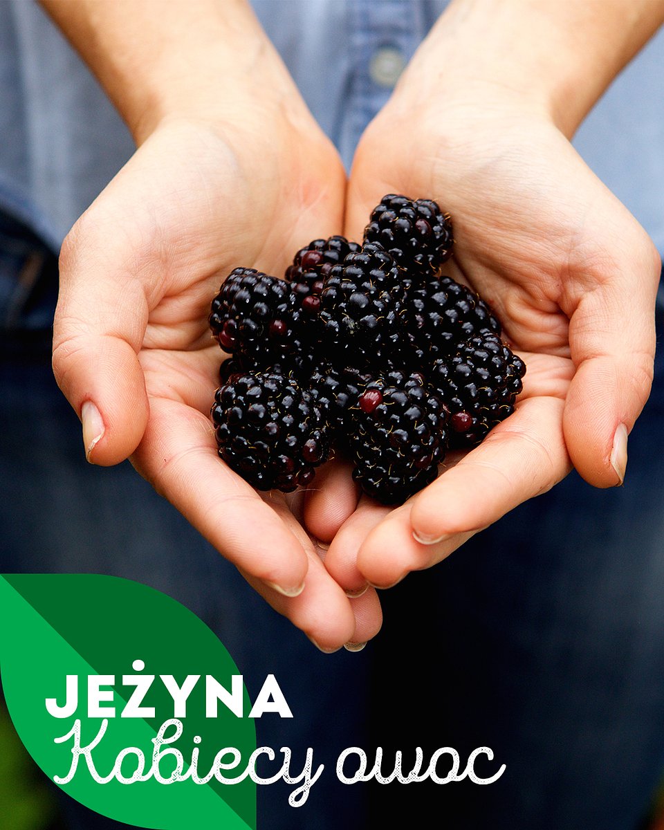 Superowoce_JEŻYNY_1080x1350_14.jpg