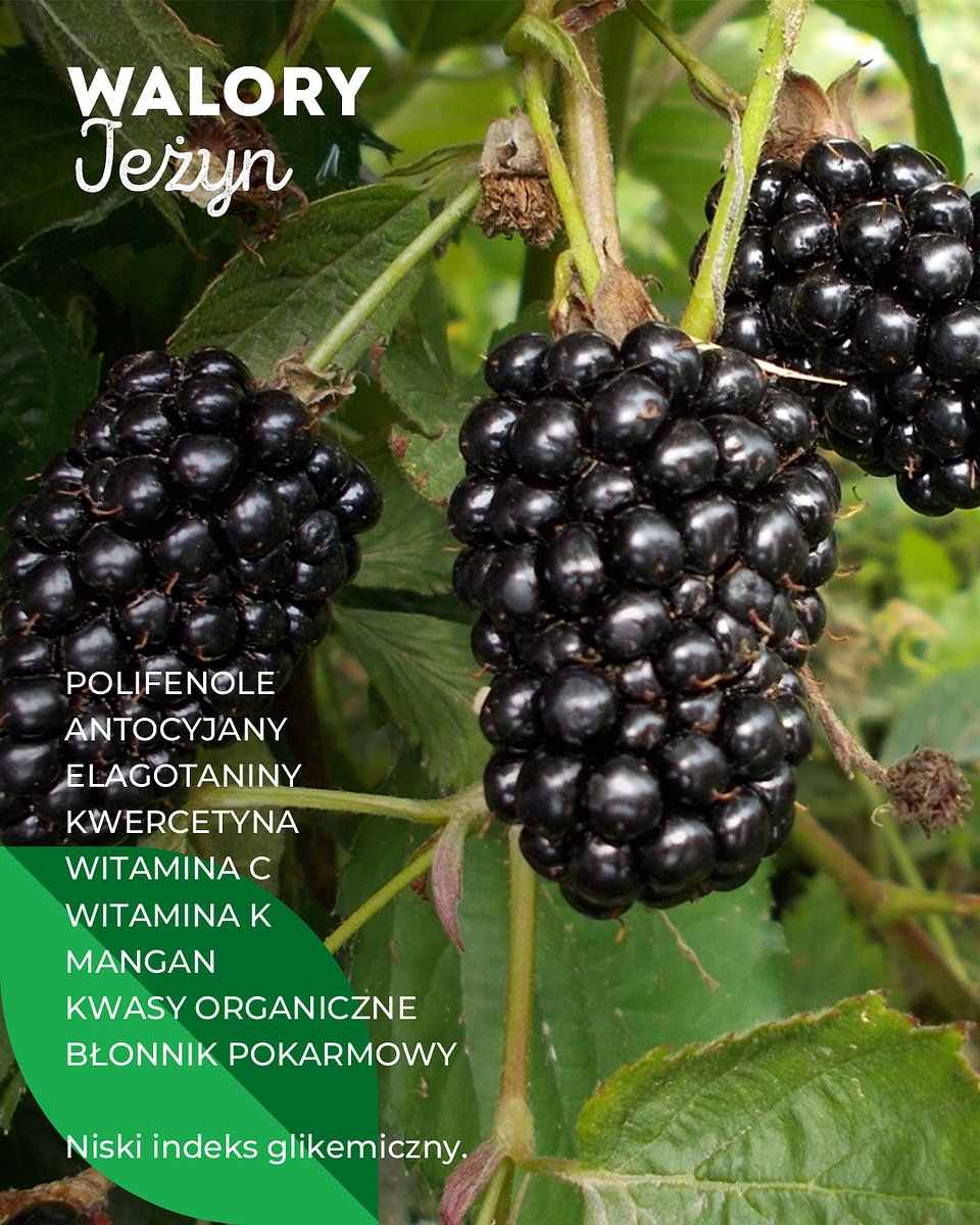 Superowoce_JEŻYNY_1080x1350_7.jpg
