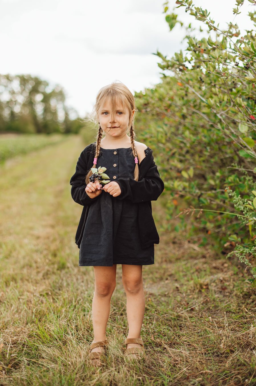 ARONIA Sierpień_2025 (44).jpg