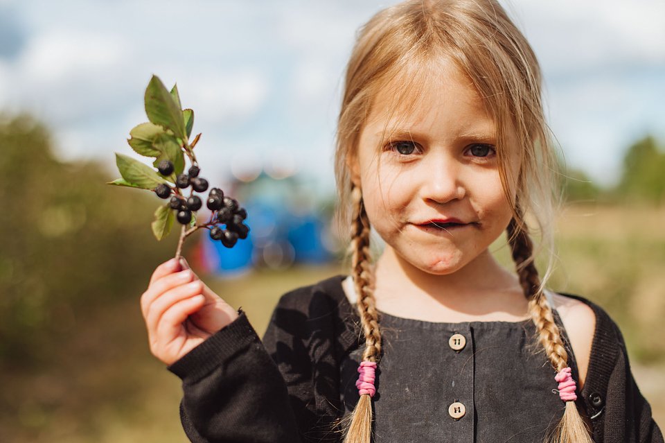 ARONIA Sierpień_2025 (35).jpg