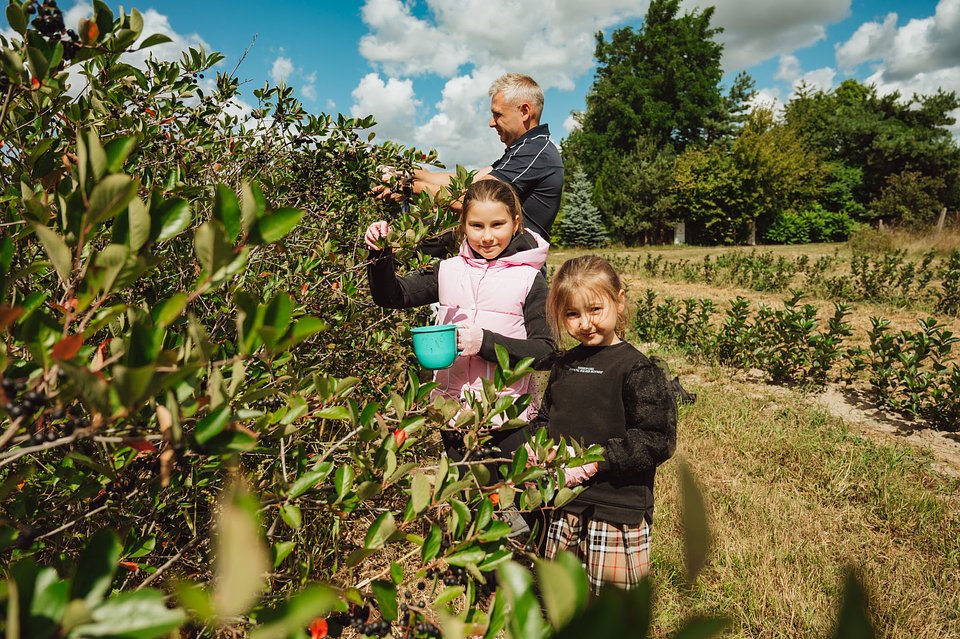ARONIA Sierpień_2025 (20).jpg