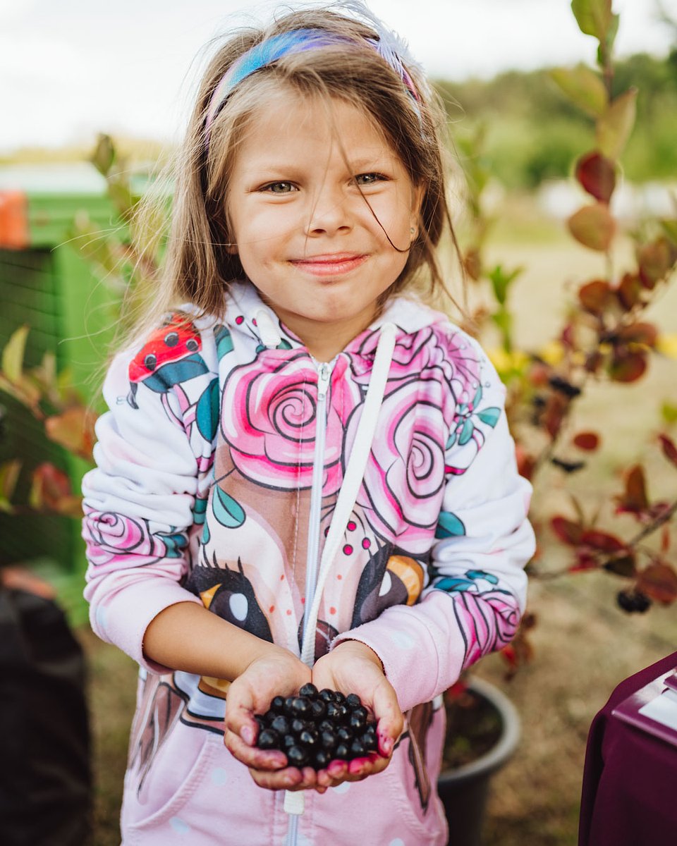 ARONIA Sierpień_2025 (12).jpg