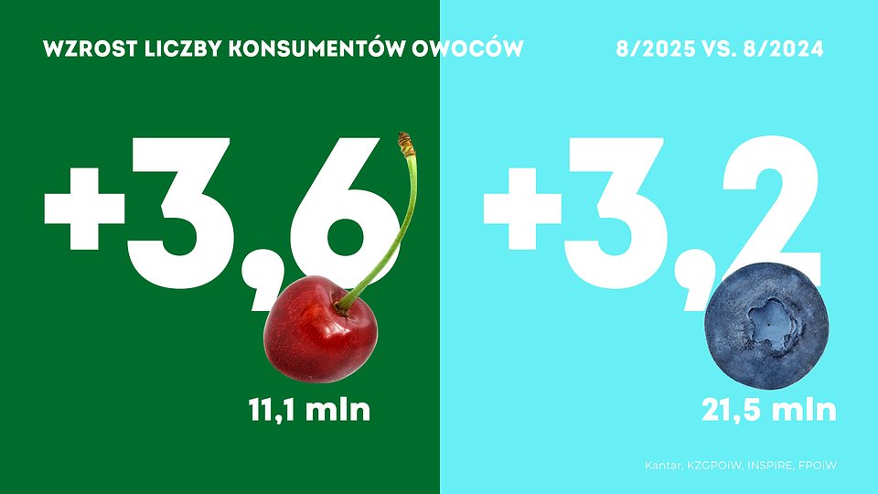 KANTAR Sierpień_2025 (4).jpg