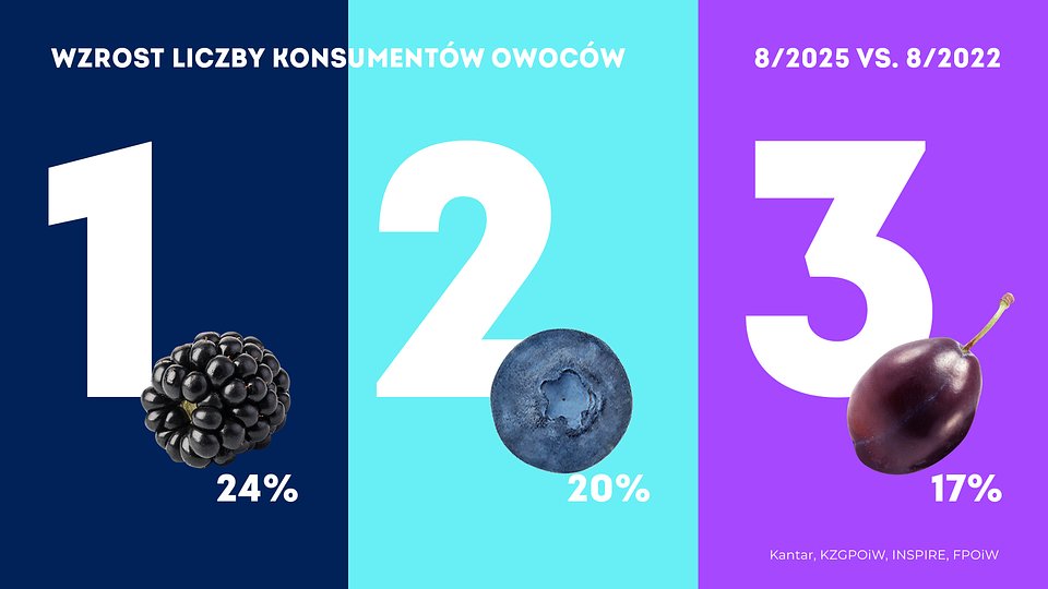 KANTAR Sierpień_2025 (3).jpg