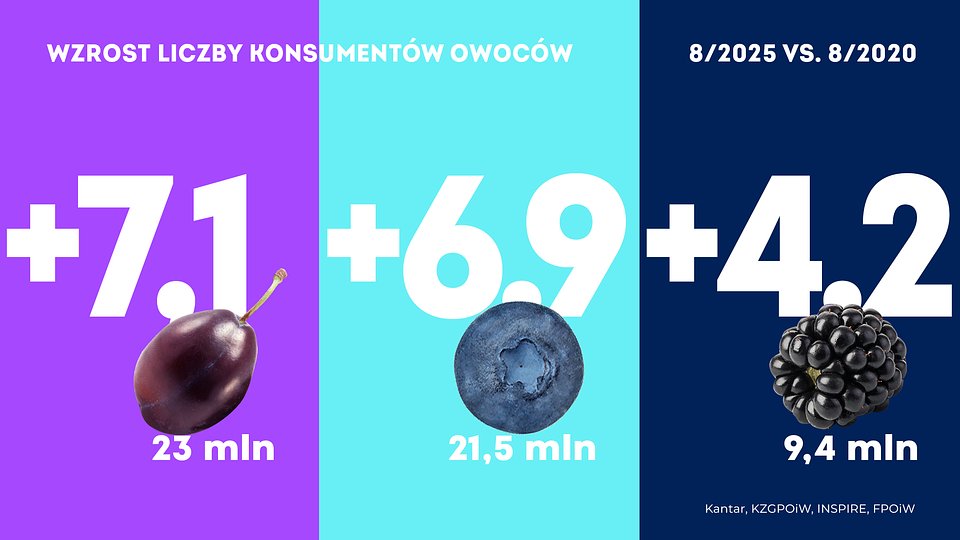 KANTAR Sierpień_2025 (5).jpg