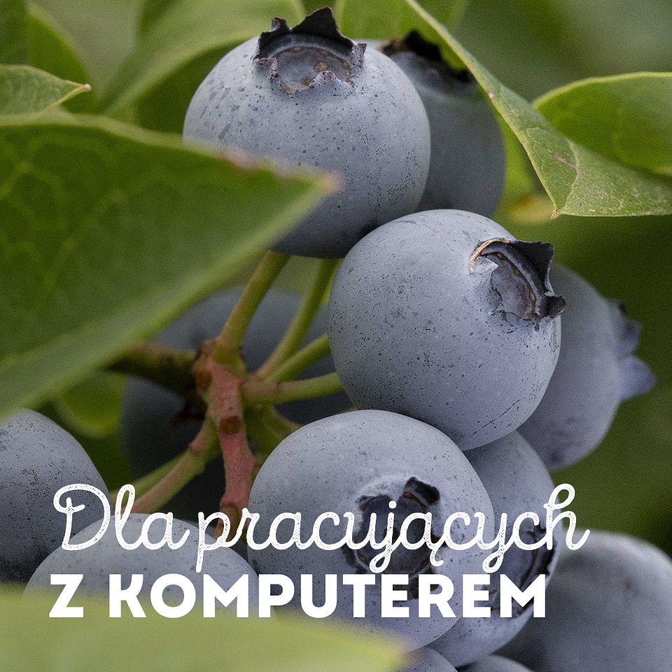 SUPEROWOCE Borówki (2).jpg
