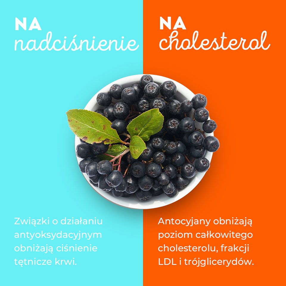 SUPEROWOCE Aronia (15).jpg