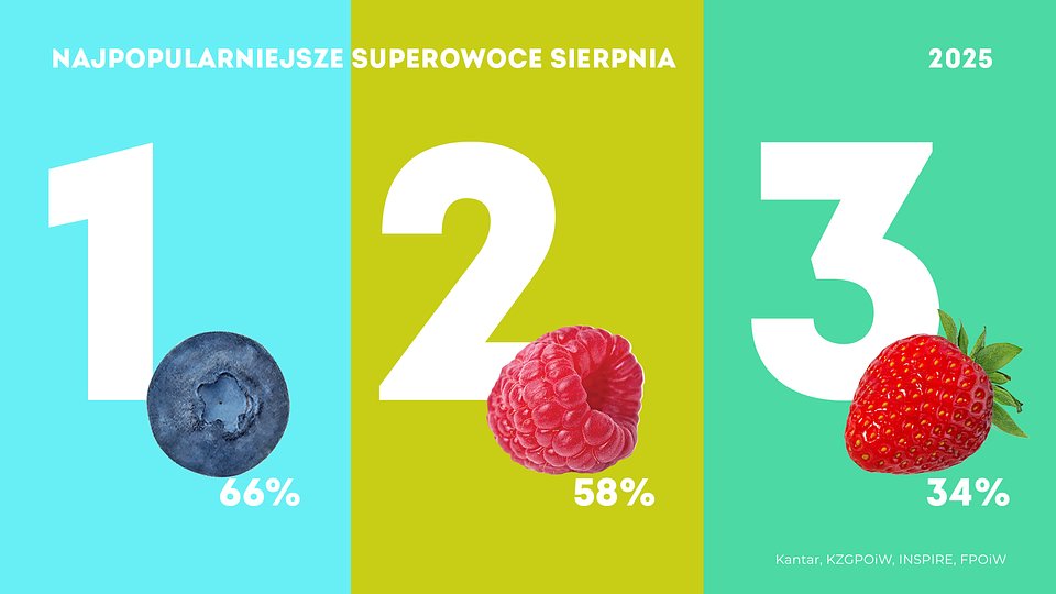 KANTAR Sierpień 2025 (3).jpg