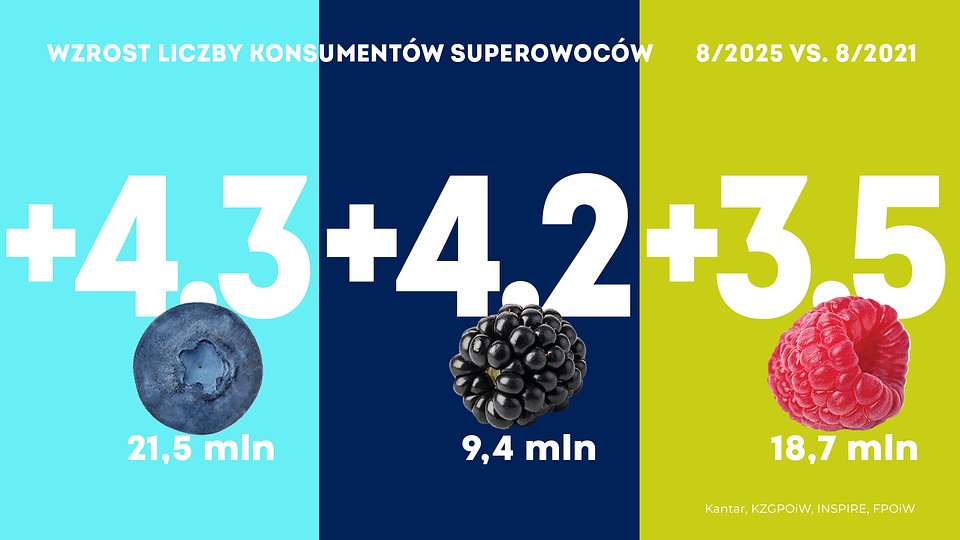 KANTAR Sierpień 2025 (13).jpg